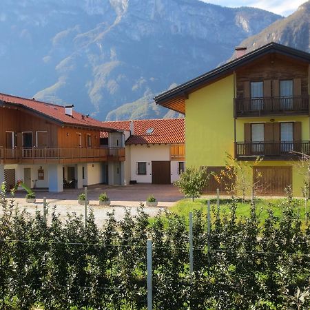 Agritur Clementi Nave San Rocco Exterior foto