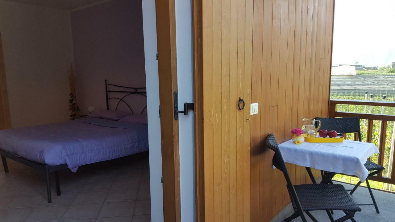 Agritur Clementi Nave San Rocco Exterior foto