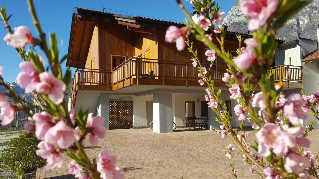 Agritur Clementi Nave San Rocco Exterior foto
