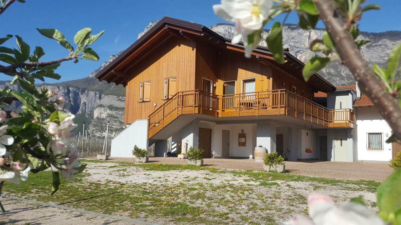 Agritur Clementi Nave San Rocco Exterior foto