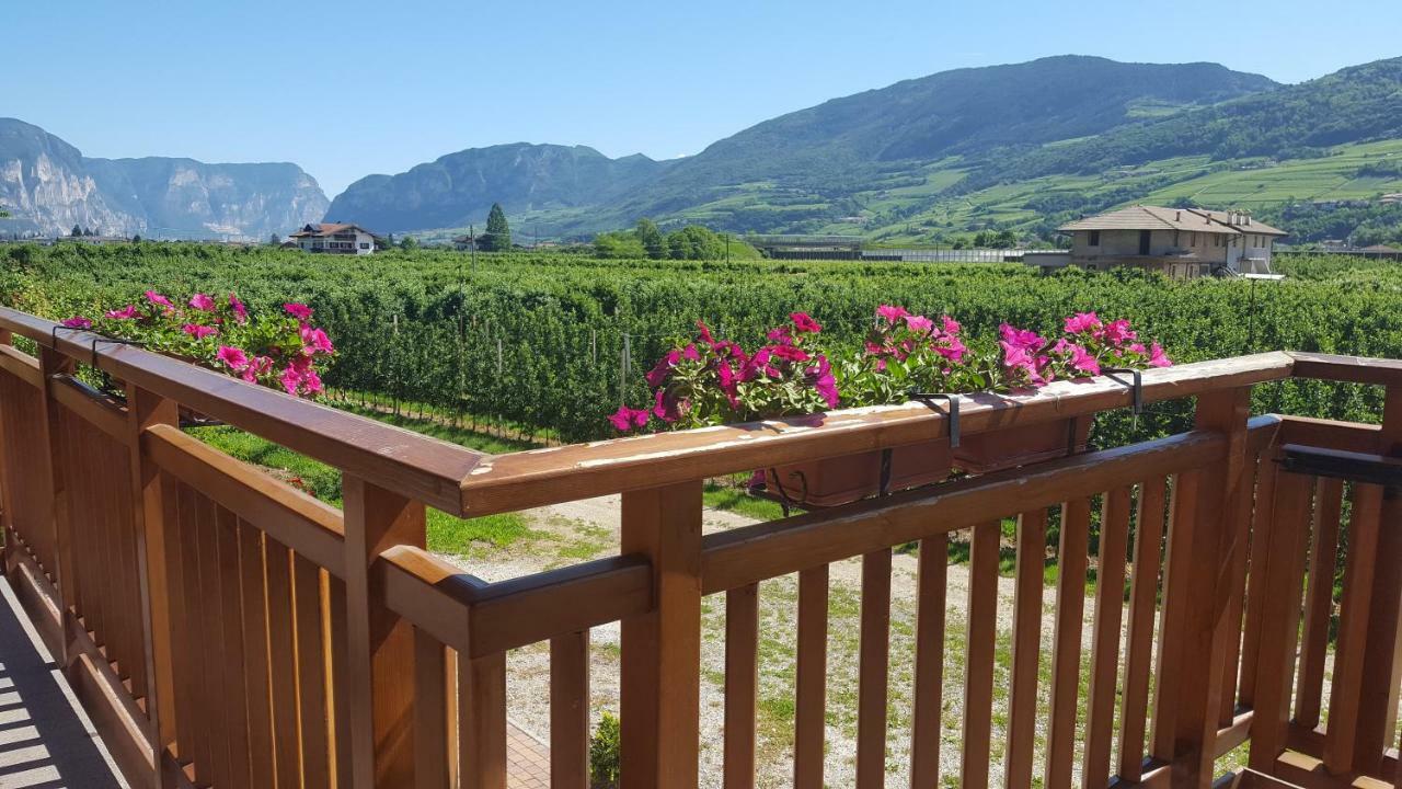 Agritur Clementi Nave San Rocco Exterior foto