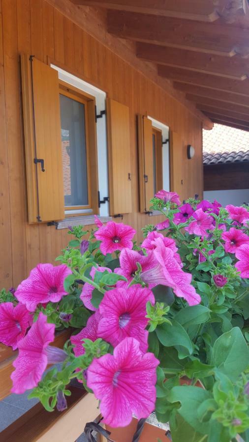 Agritur Clementi Nave San Rocco Exterior foto