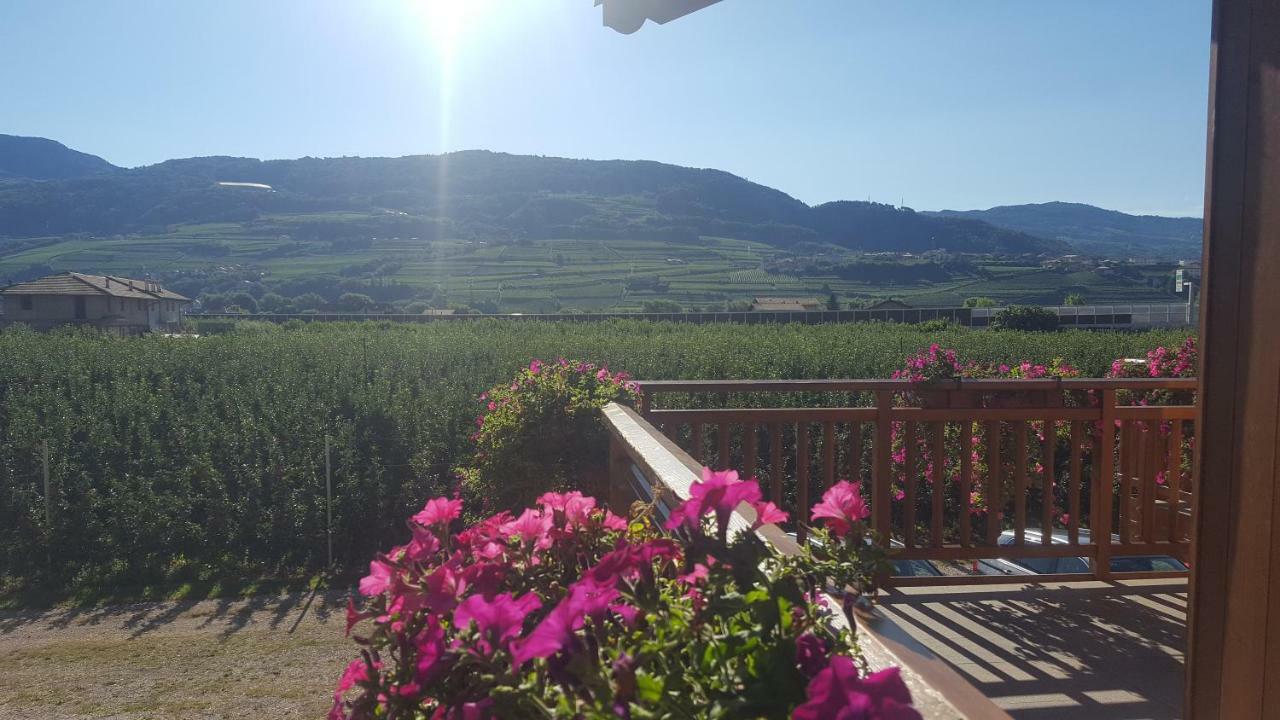 Agritur Clementi Nave San Rocco Exterior foto