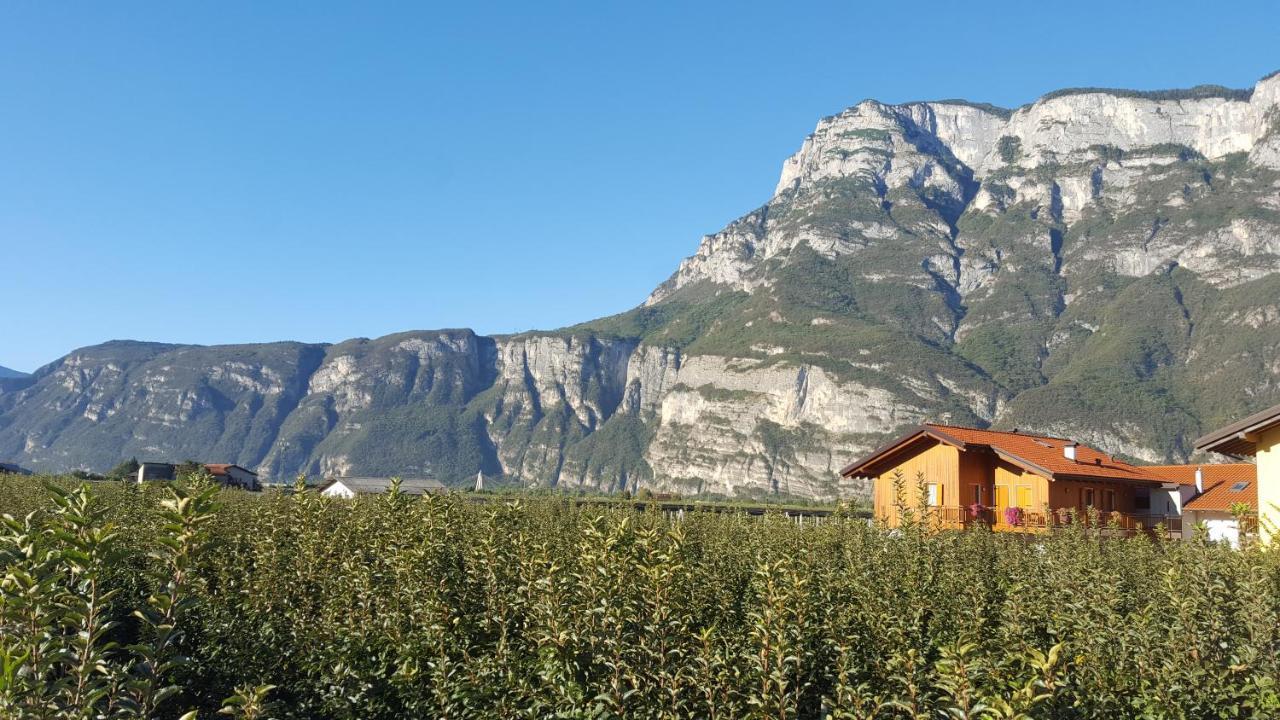 Agritur Clementi Nave San Rocco Exterior foto
